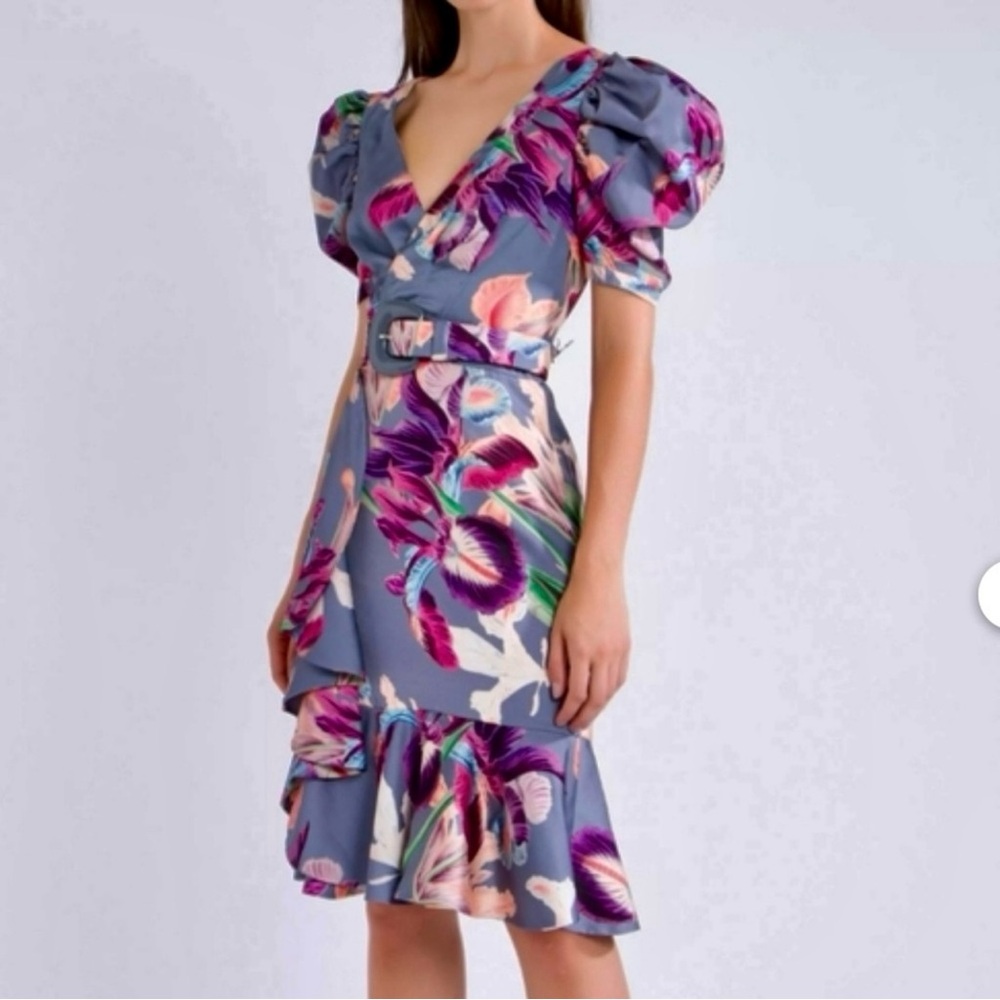 PatBO Iris Floral Print V-Neck Belted Ruffle Mini Dress - Size 4